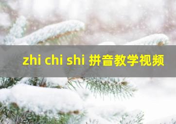 zhi chi shi 拼音教学视频